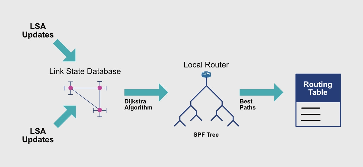 OSPF Operations: LSA Updates, Link State DB, SPF Tree, RIB
